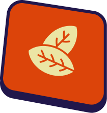 FEEL PREPARED, SHOW UP CONFIDENT